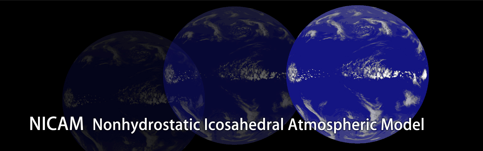 NICAM Nonhydrostatic Icosahedral Atmospheric Model